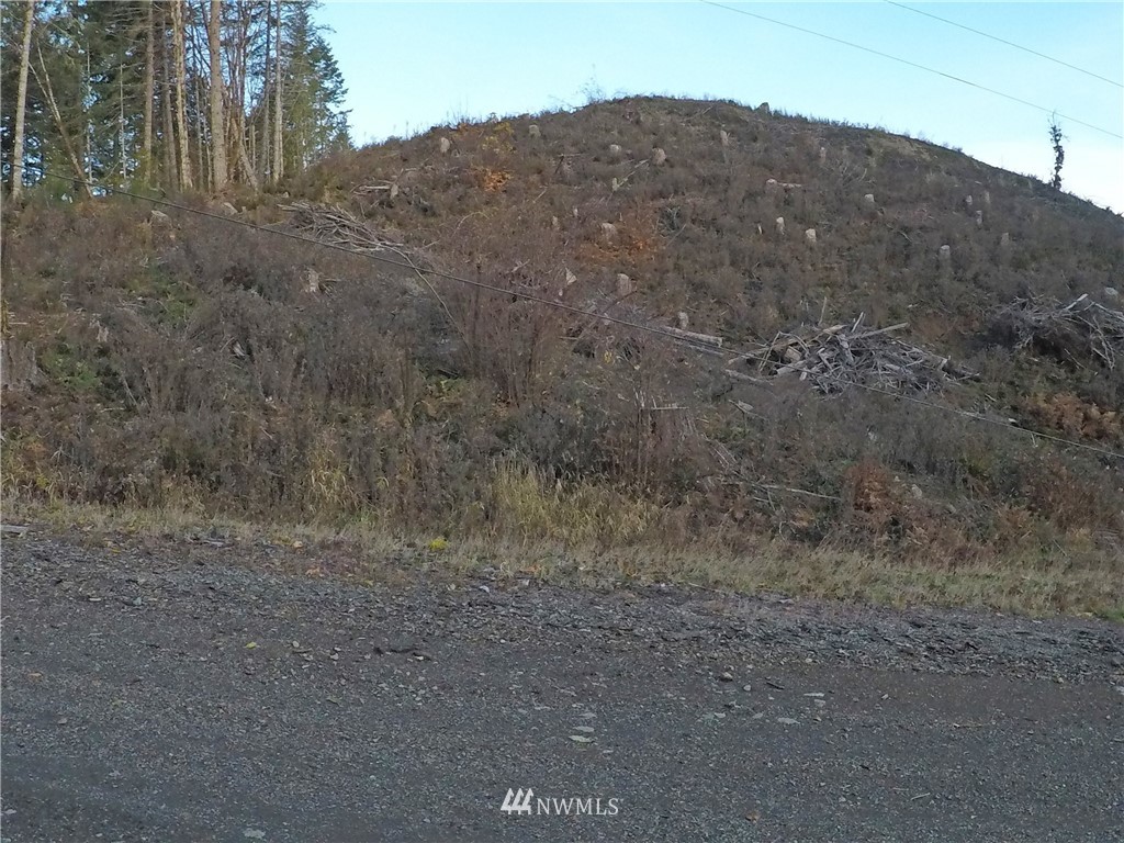 196 Coleman Hill Road Randle, WA 98377 - Photo 12 of 22