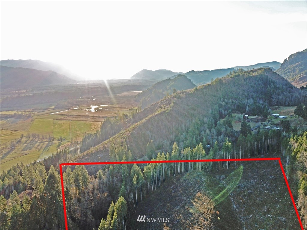 196 Coleman Hill Road Randle, WA 98377 - Photo 13 of 22