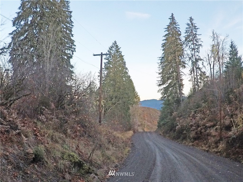 196 Coleman Hill Road Randle, WA 98377 - Photo 14 of 22
