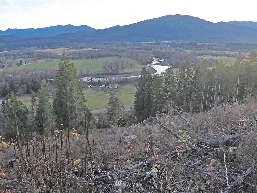 196 Coleman Hill Road Randle, WA 98377 - Photo 19 of 22