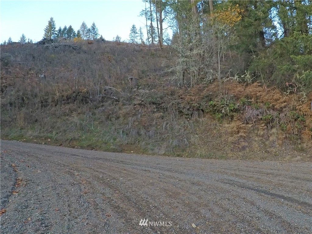 196 Coleman Hill Road Randle, WA 98377 - Photo 20 of 22