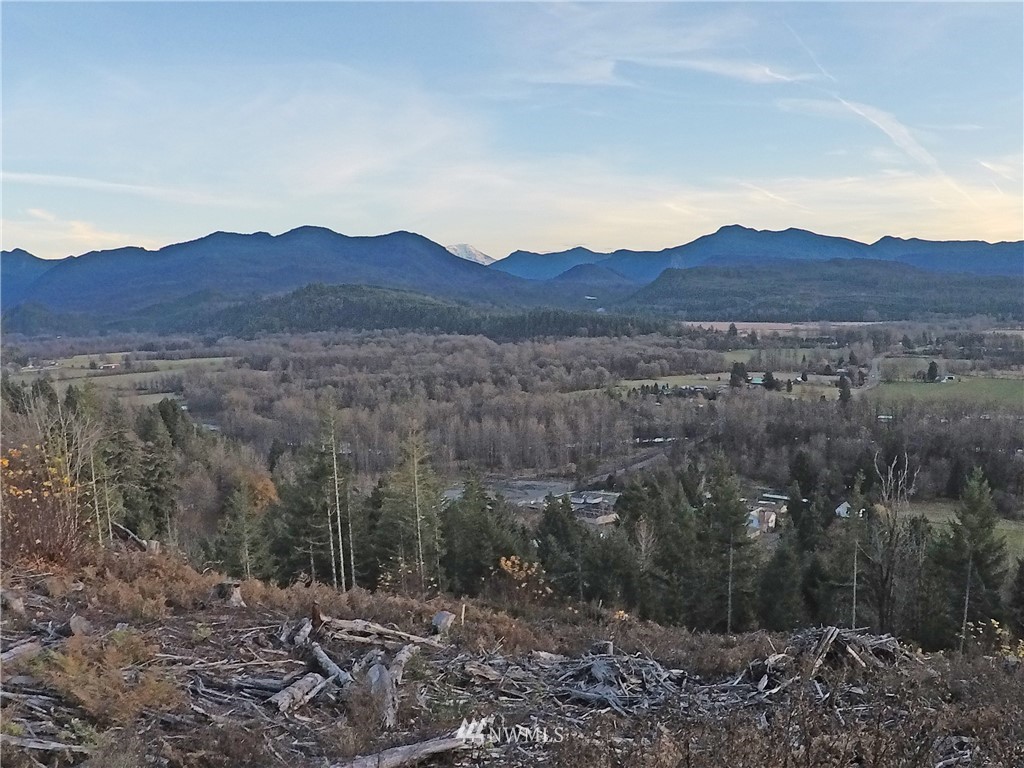 196 Coleman Hill Road Randle, WA 98377 - Photo 3 of 22