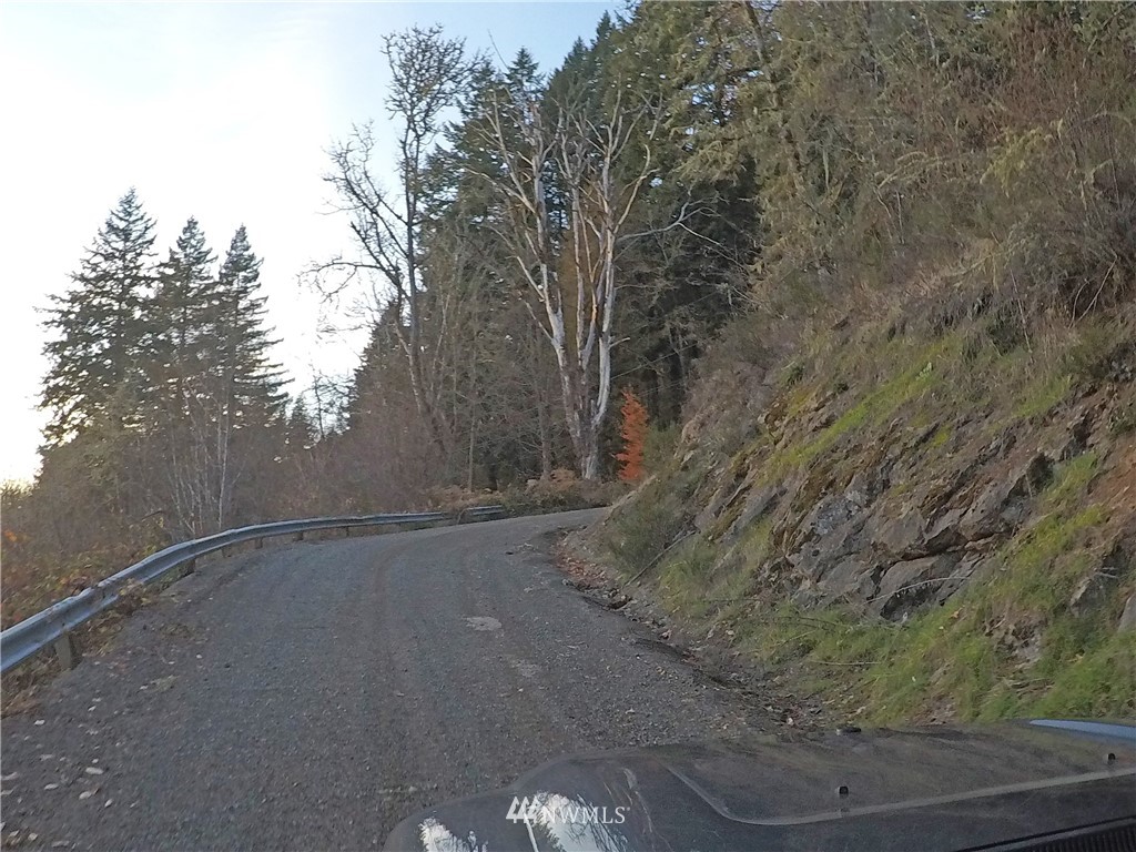 196 Coleman Hill Road Randle, WA 98377 - Photo 21 of 22