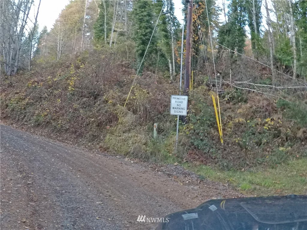 196 Coleman Hill Road Randle, WA 98377 - Photo 22 of 22