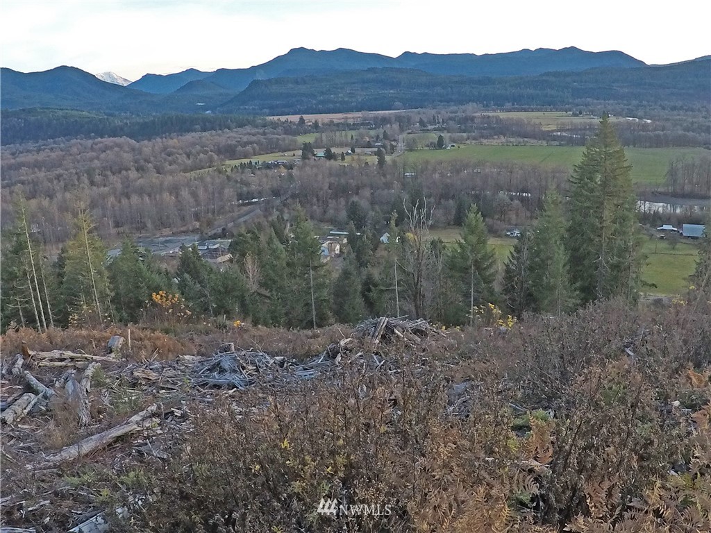 196 Coleman Hill Road Randle, WA 98377 - Photo 5 of 22