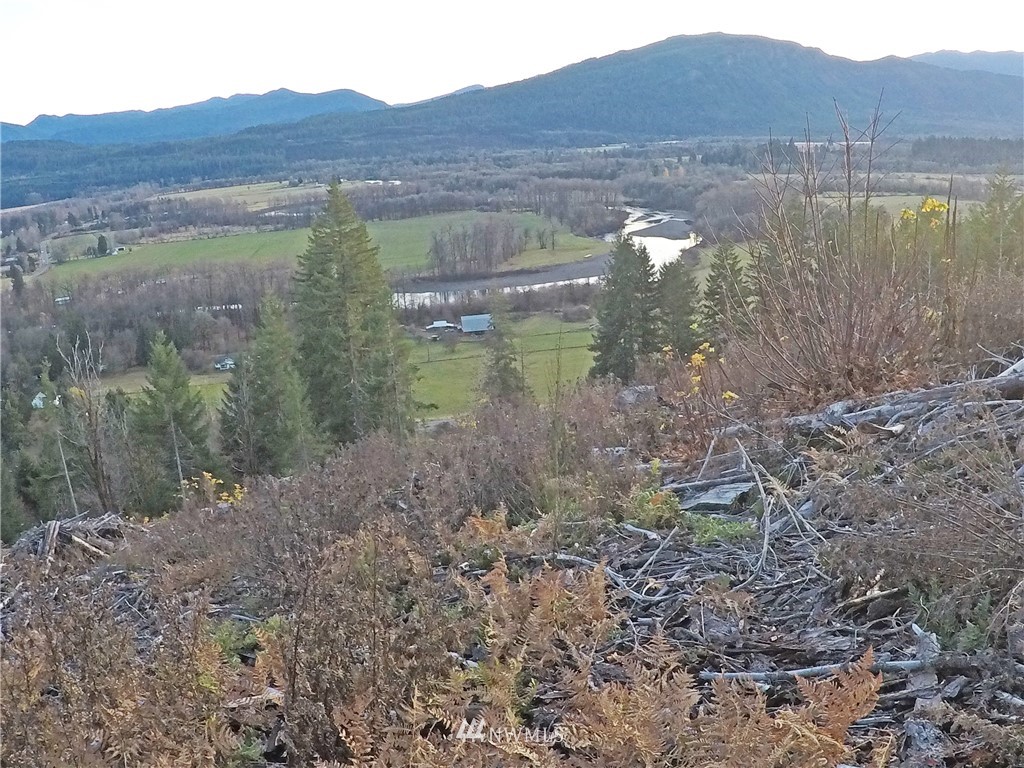 196 Coleman Hill Road Randle, WA 98377 - Photo 6 of 22