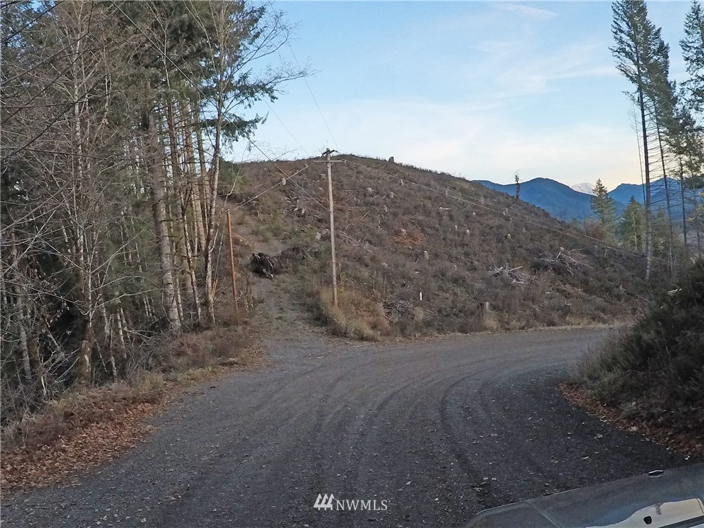 196 Coleman Hill Road Randle, WA 98377 - Photo 8 of 22