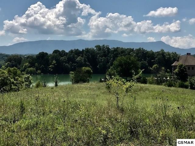 1925 Indian Creek Road Dandridge, TN 37725 - Photo 5 of 6