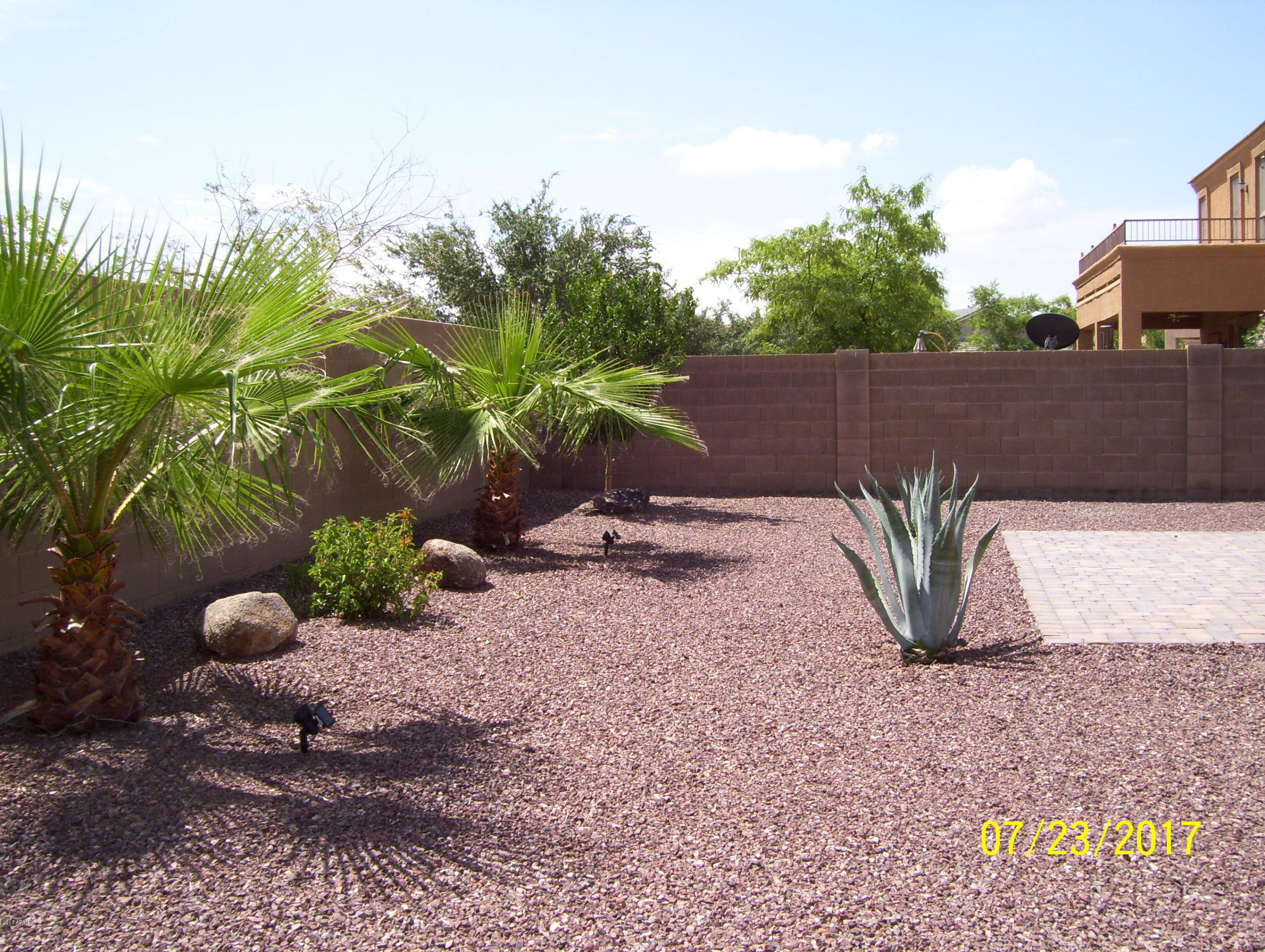 25243 North Boreas Road Florence, AZ 85132 - Photo 24 of 26 25-back yard