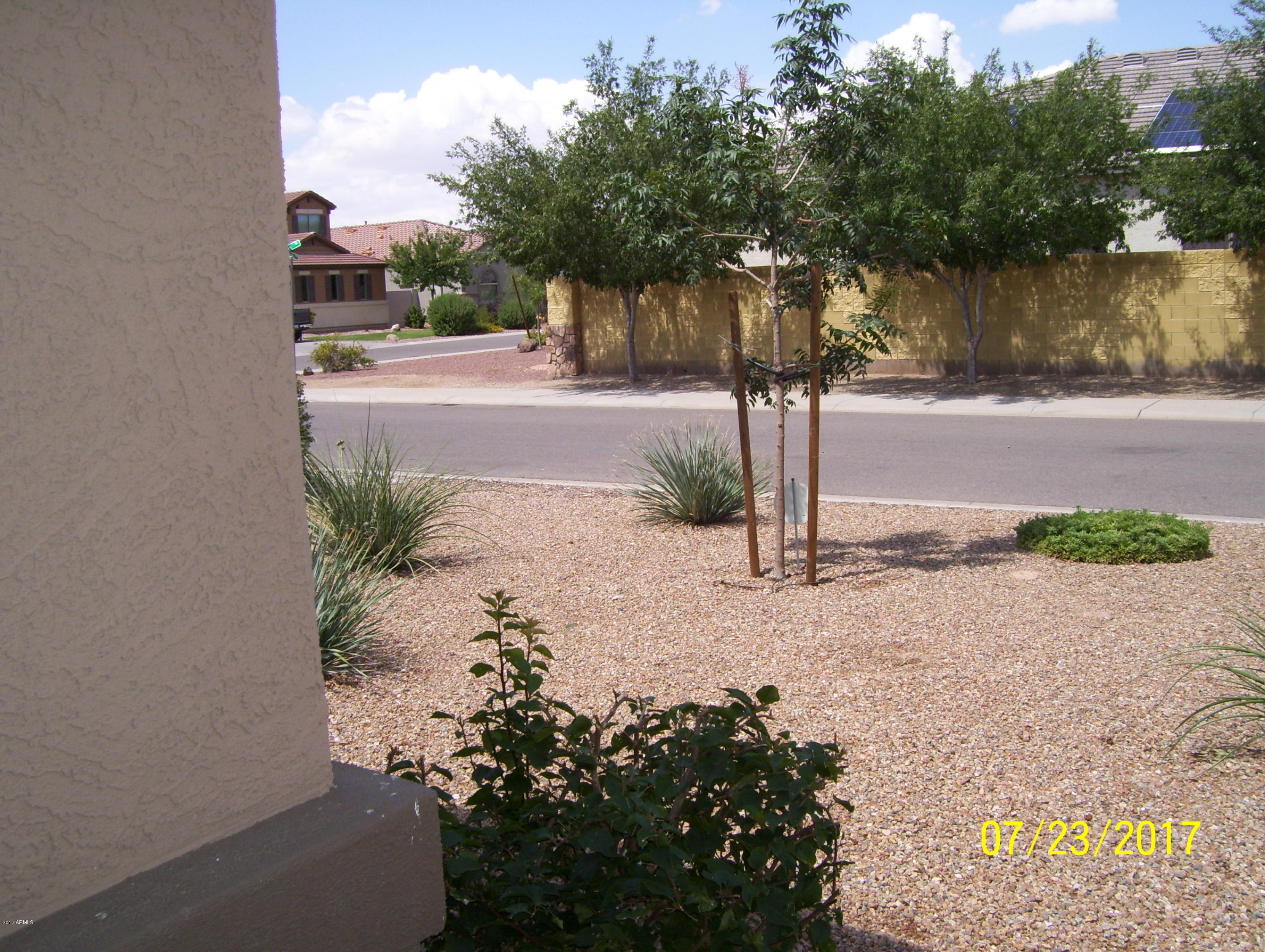 25243 North Boreas Road Florence, AZ 85132 - Photo 3 of 26 3-front yard