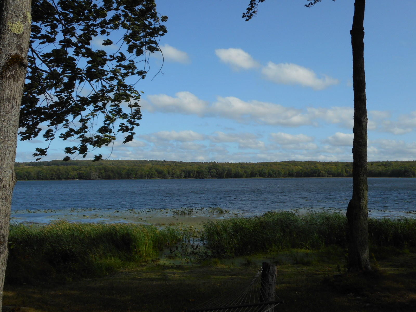 19 North Vigue Shr Road Albion, ME 04910 - Photo 2 of 9 Water View
