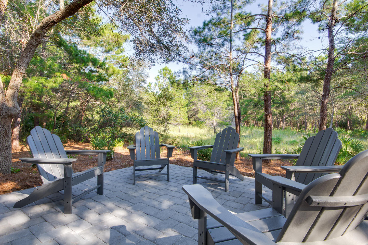 372 Red Cedar Way Santa Rosa Beach, FL 32459 - Photo 8 of 40 Gallery Image 8