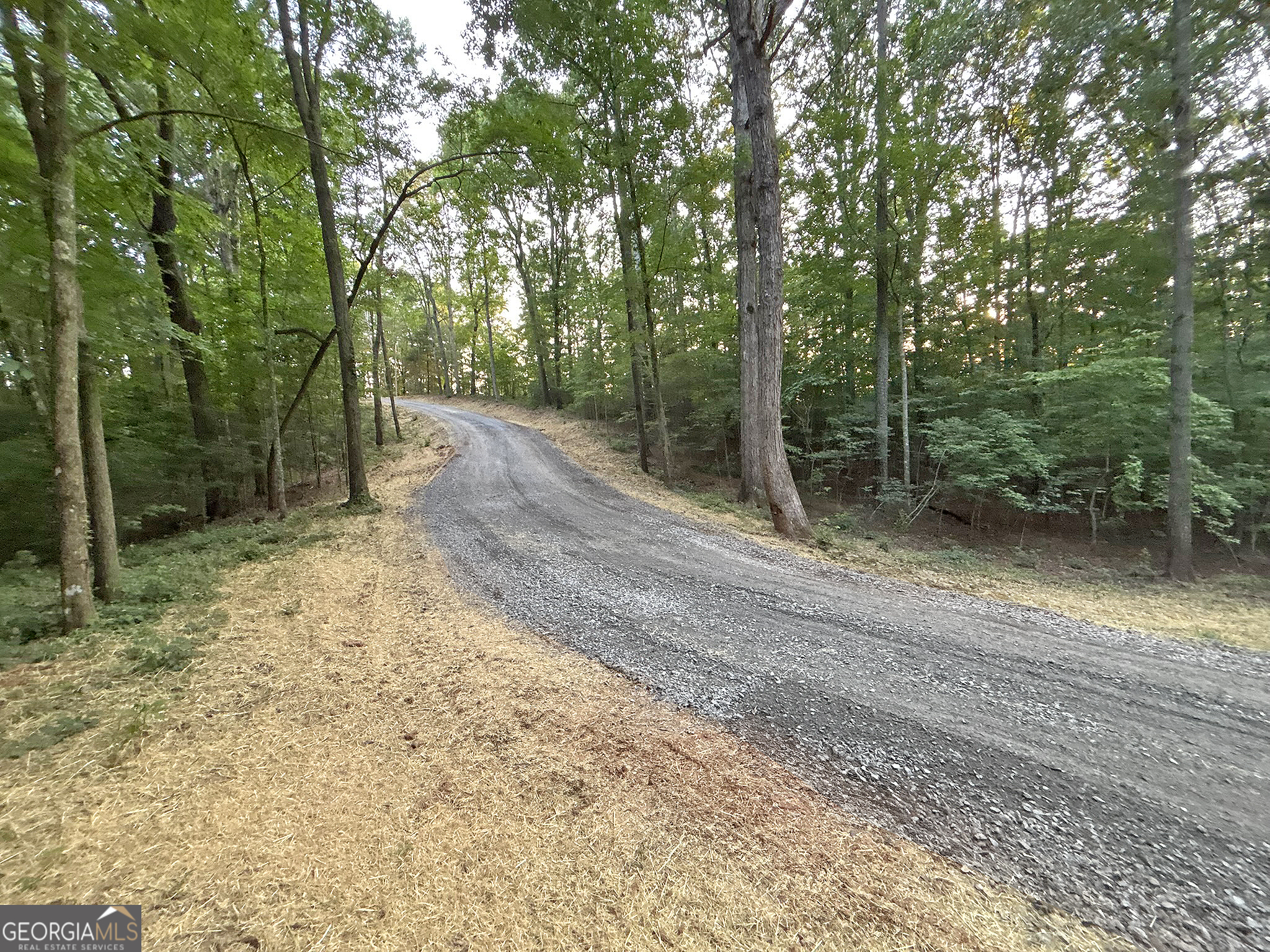 Lot 20 Mt Springer Road Ellijay, GA 30540 - Photo 17 of 32