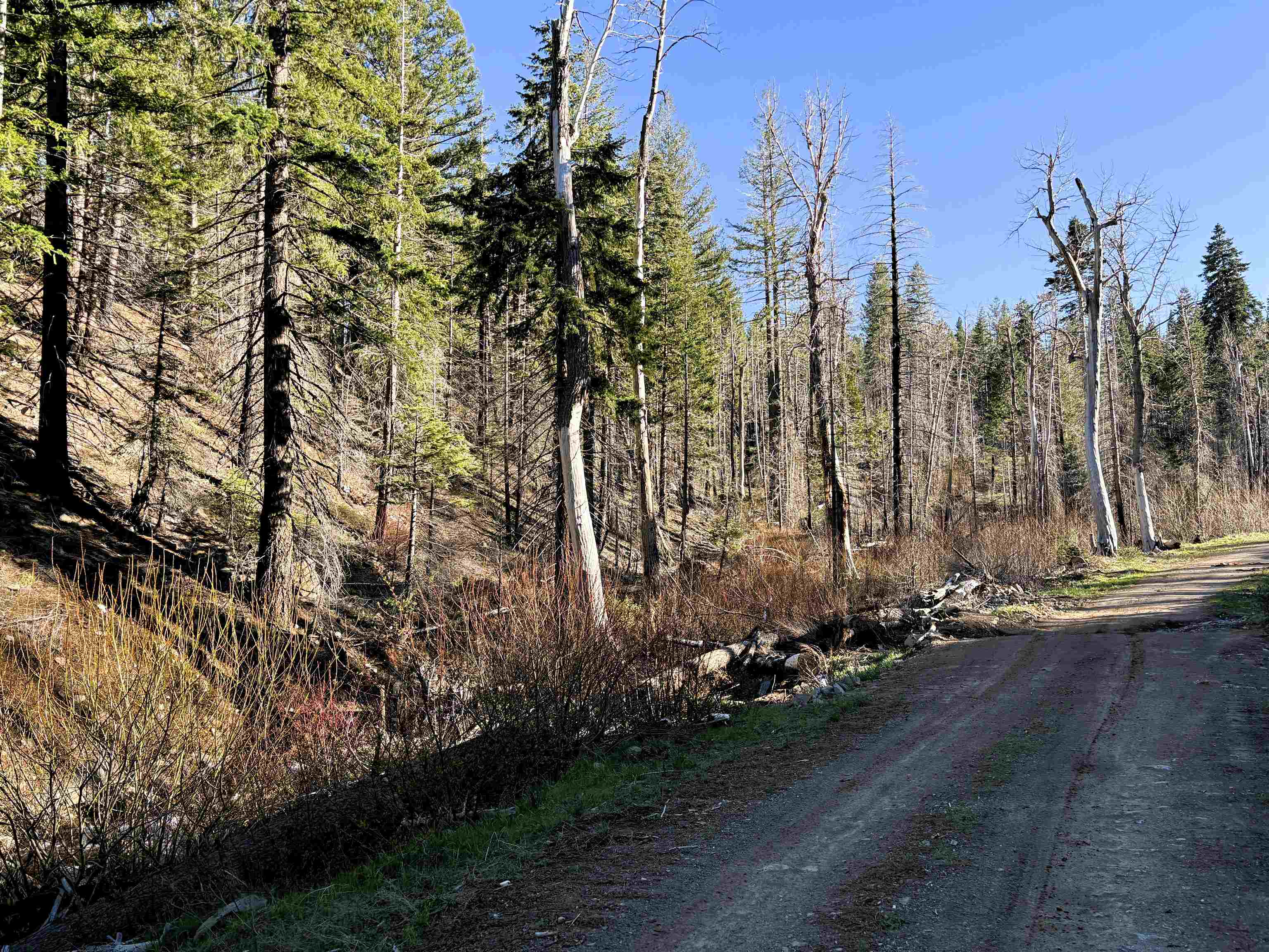 0 Gold Run Road Susanville, CA 96130 - Photo 3 of 6