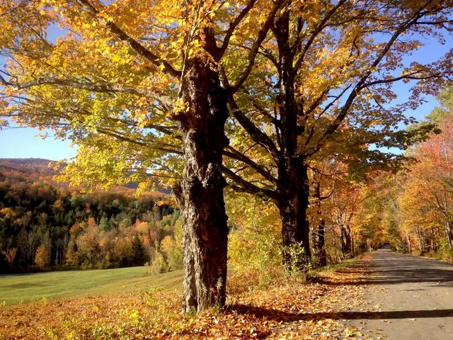 $175,000 | 705-707 Qtr I V Adams House, Ludlow, VT 05149