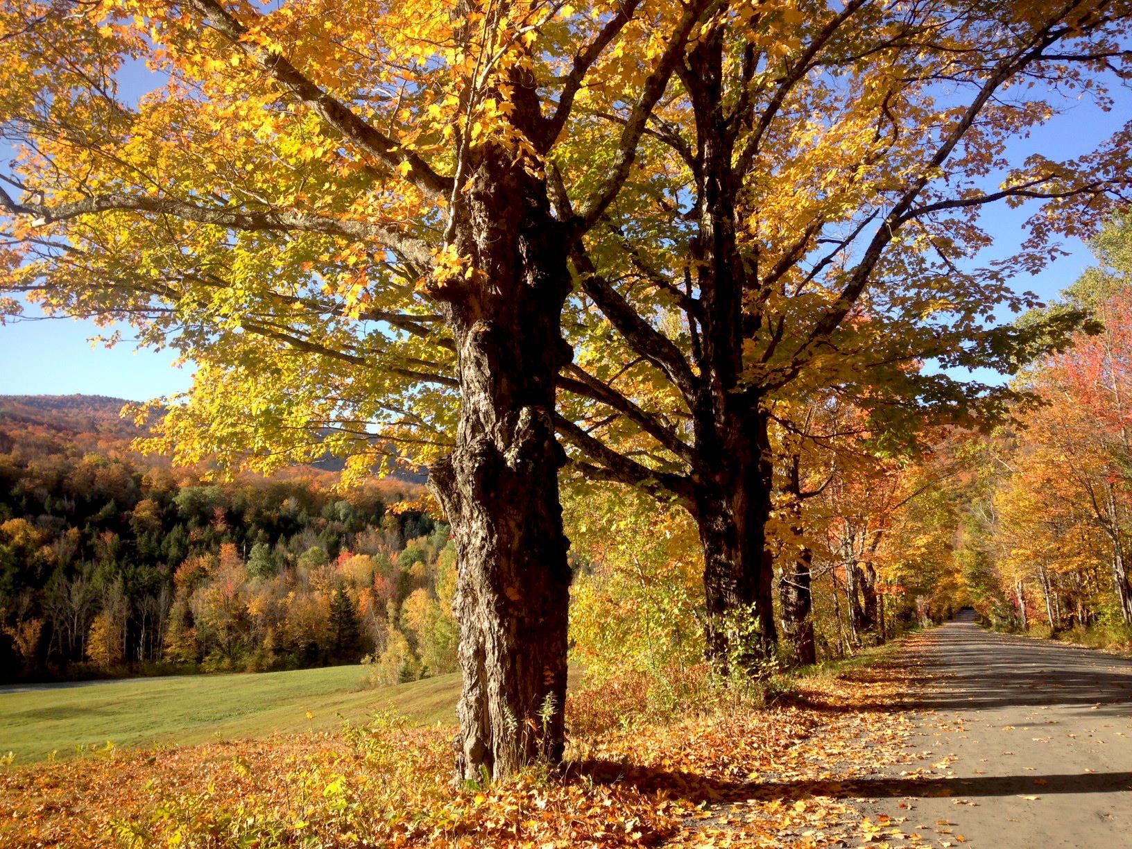 705-707 Qtr I V Adams House Ludlow, VT 05149 - Photo 38 of 41