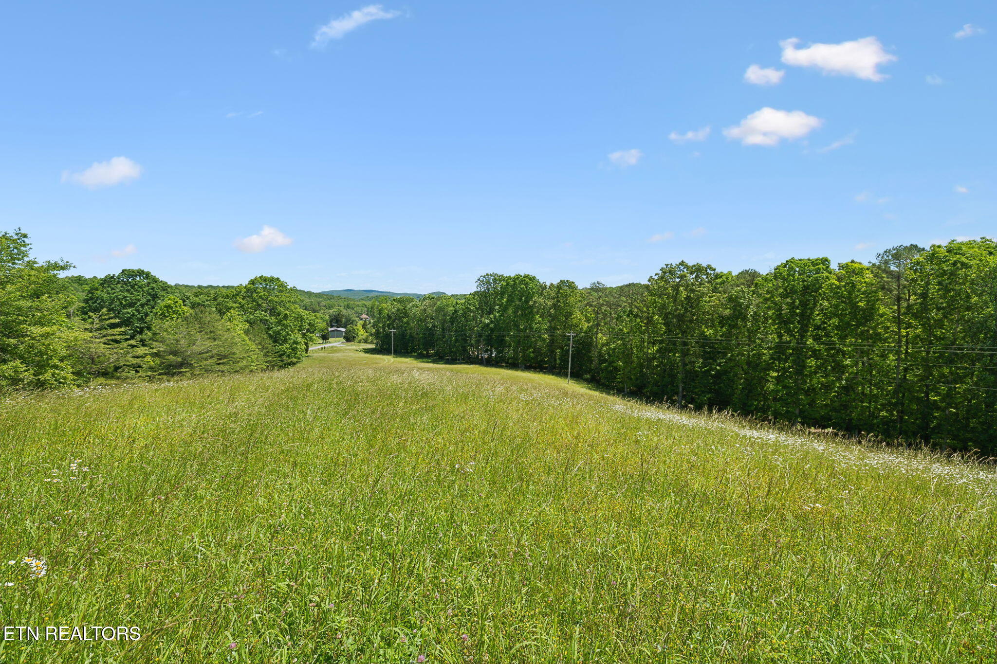 1460 Big Neck Road Grandview, TN 37337 - Photo 12 of 32 Rolling Fields