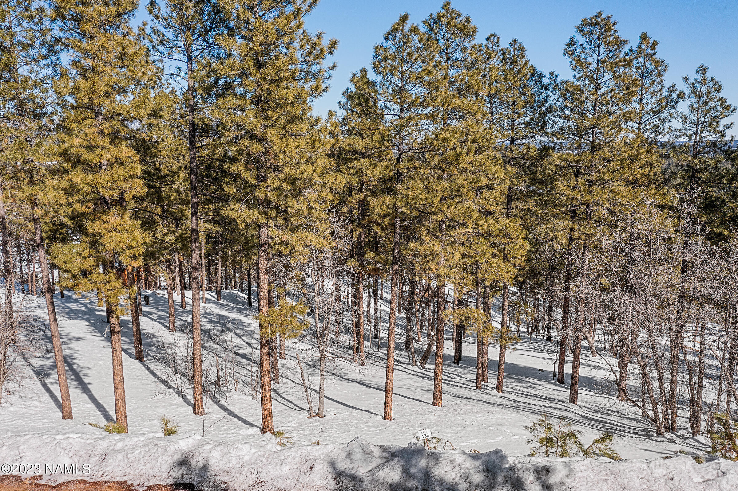 4380 S Flagstaff Ranch Rd