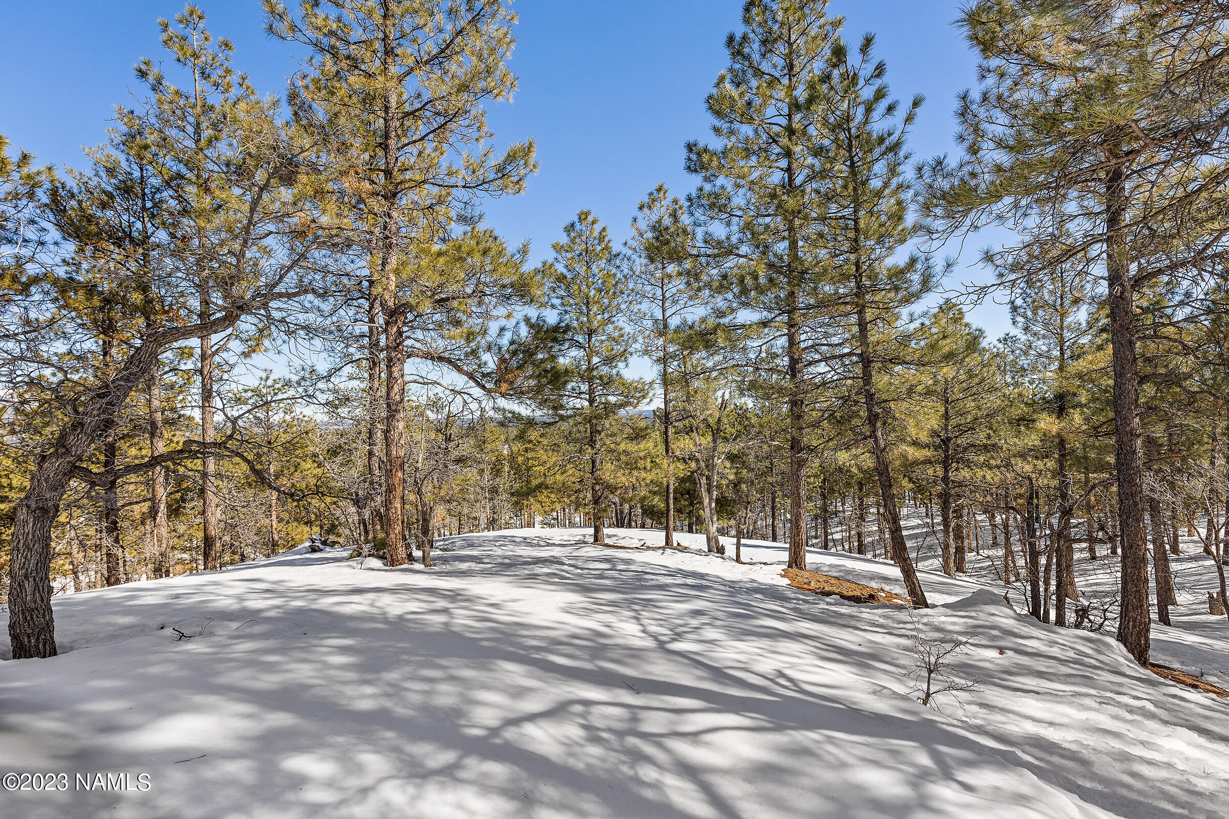 4380 S Flagstaff Ranch Rd