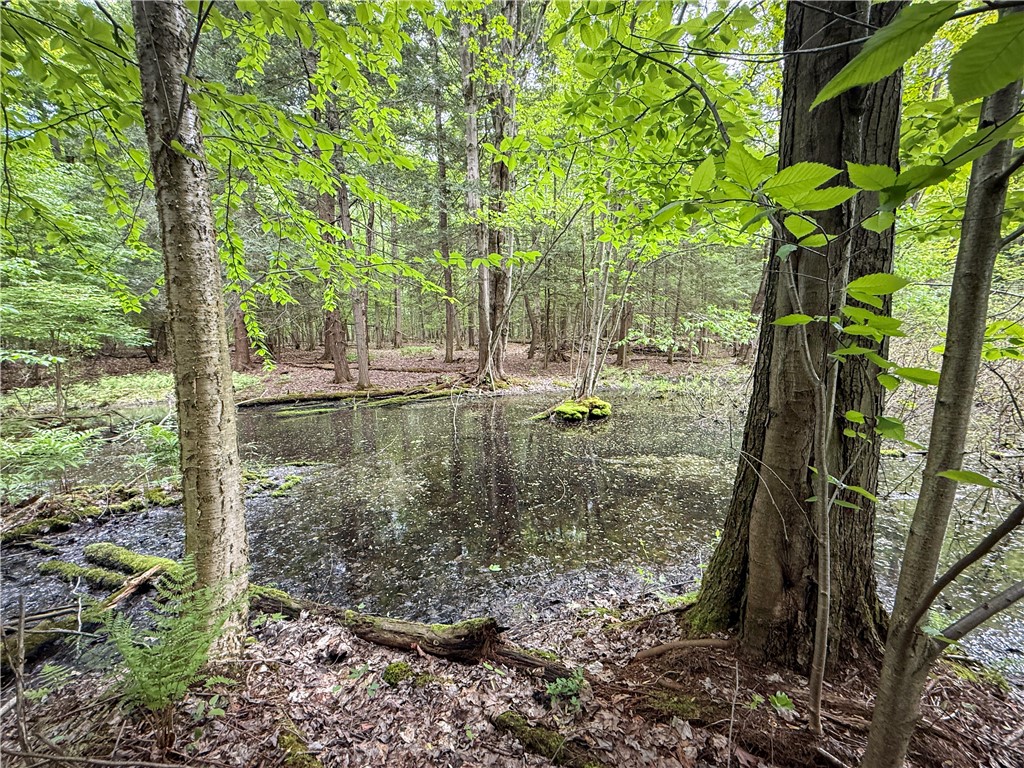 Gifford Road Hannibal, NY 13074 - Photo 41 of 50