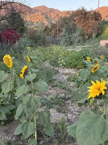 a view of a mountain range with trees in the background