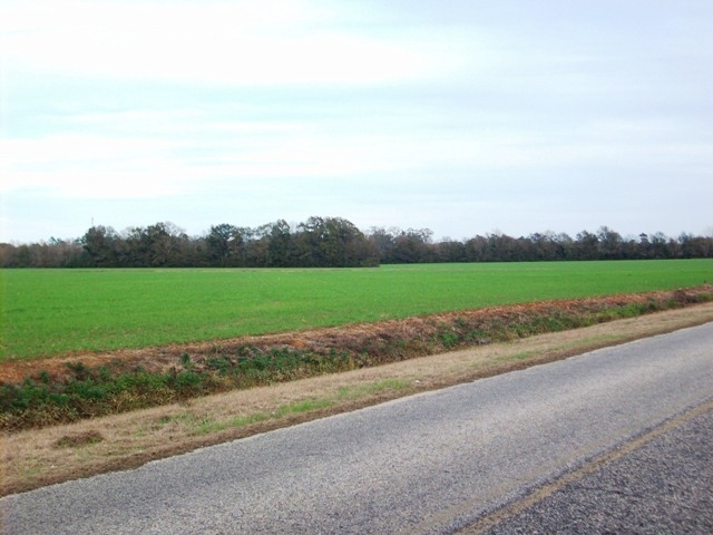 21 Highway 21 Atmore, AL 36502 - Photo 4 of 6