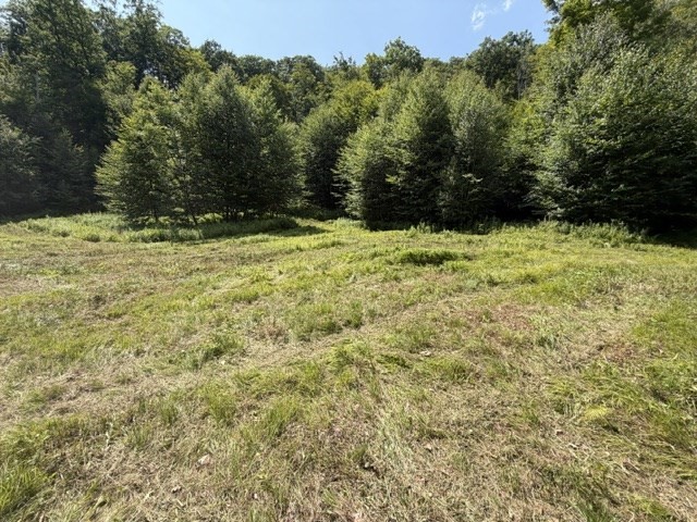 0 Zoar Road Rowe, MA 01367 - Photo 25 of 25 Gallery Image 25