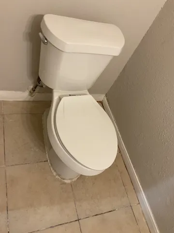 a bathroom with a toilet and a rug