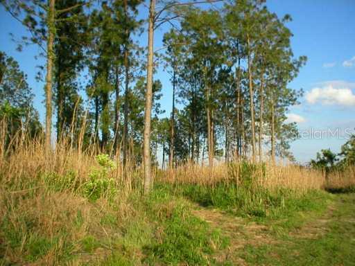 Land