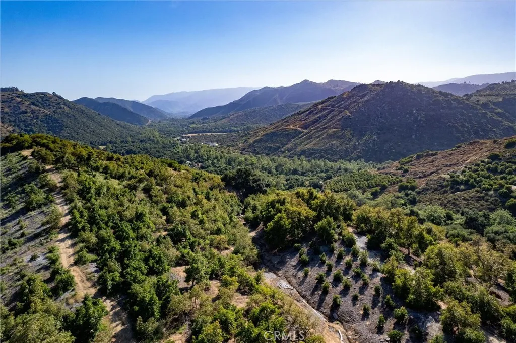 18 De Luz Road Temecula, CA 92590 - Photo 1 of 10 a view of a lush green field with a tree in a house