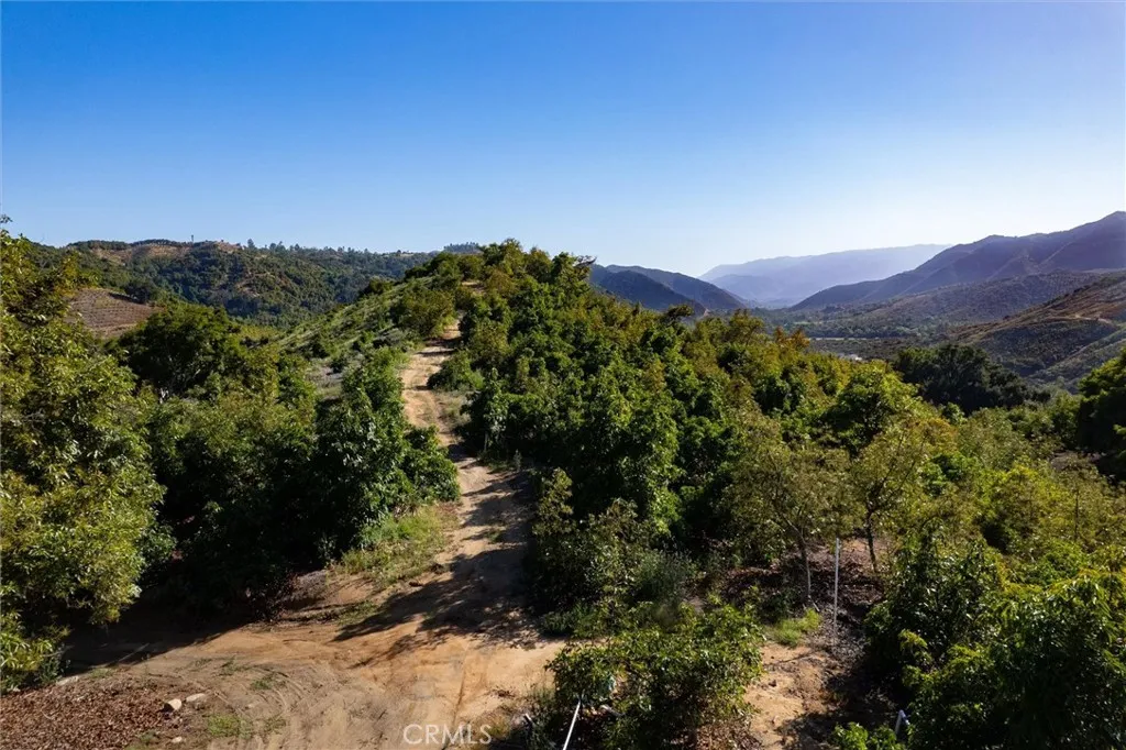 18 De Luz Road Temecula, CA 92590 - Photo 3 of 10 a view of a forest with mountains in the background