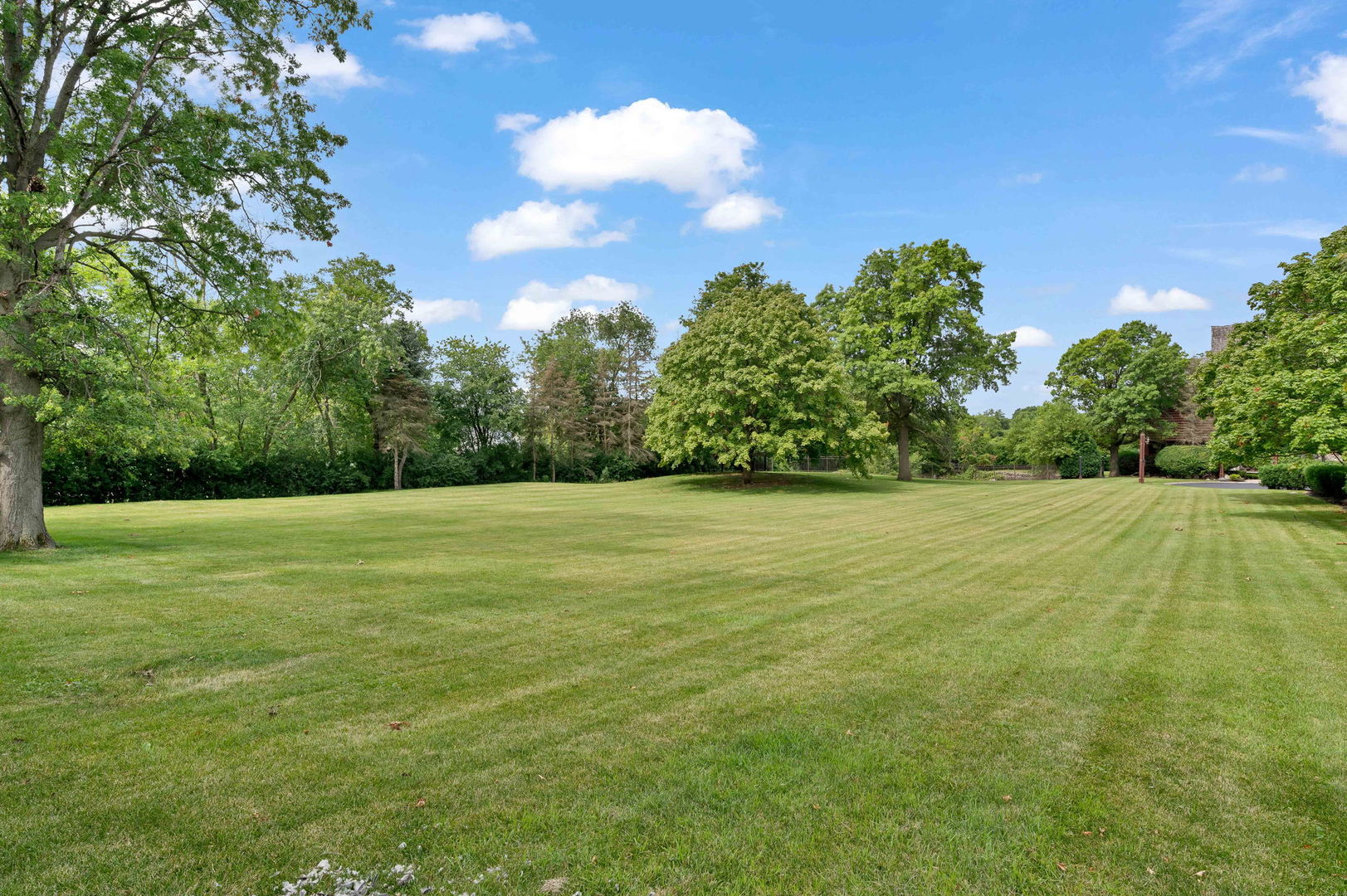 1 Maros Lane Olympia Fields, IL 60461 - Photo 45 of 50 a view of a green field