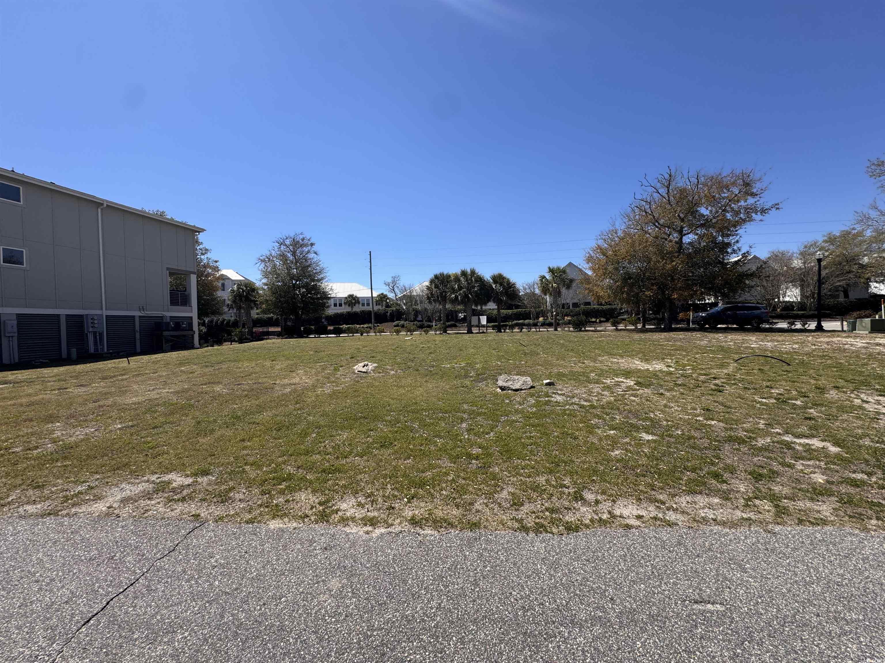 Tbd 48th Avenue South North Myrtle Beach, SC 29582 - Photo 2 of 2 View of yard