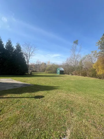 a view of field with large trees