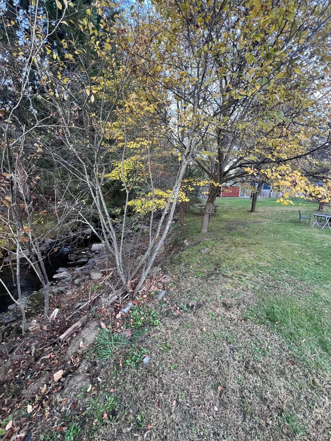 23 Cooley Road Parksville, NY 12768 - Photo 40 of 43 a backyard of a house with lots of green space