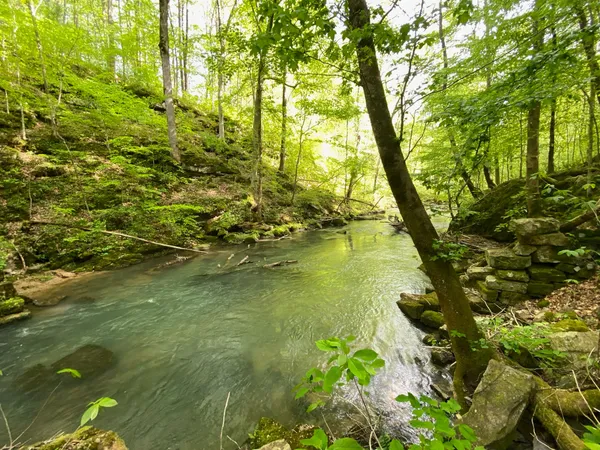 $850,000 | 8450 Old Highway 28, Pikeville, TN 37367