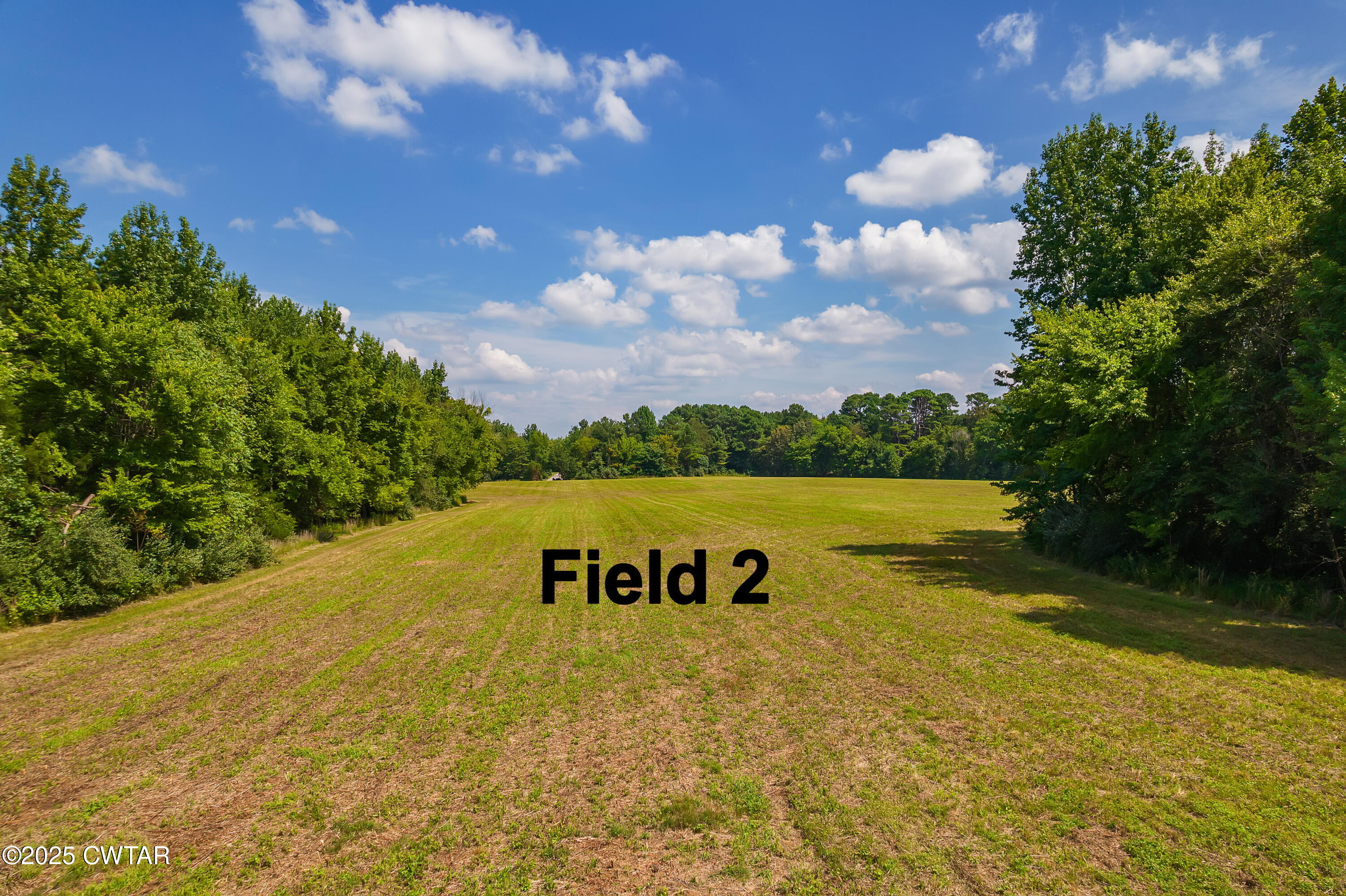 0 Rider Drive Jackson, TN 38305 - Photo 4 of 7