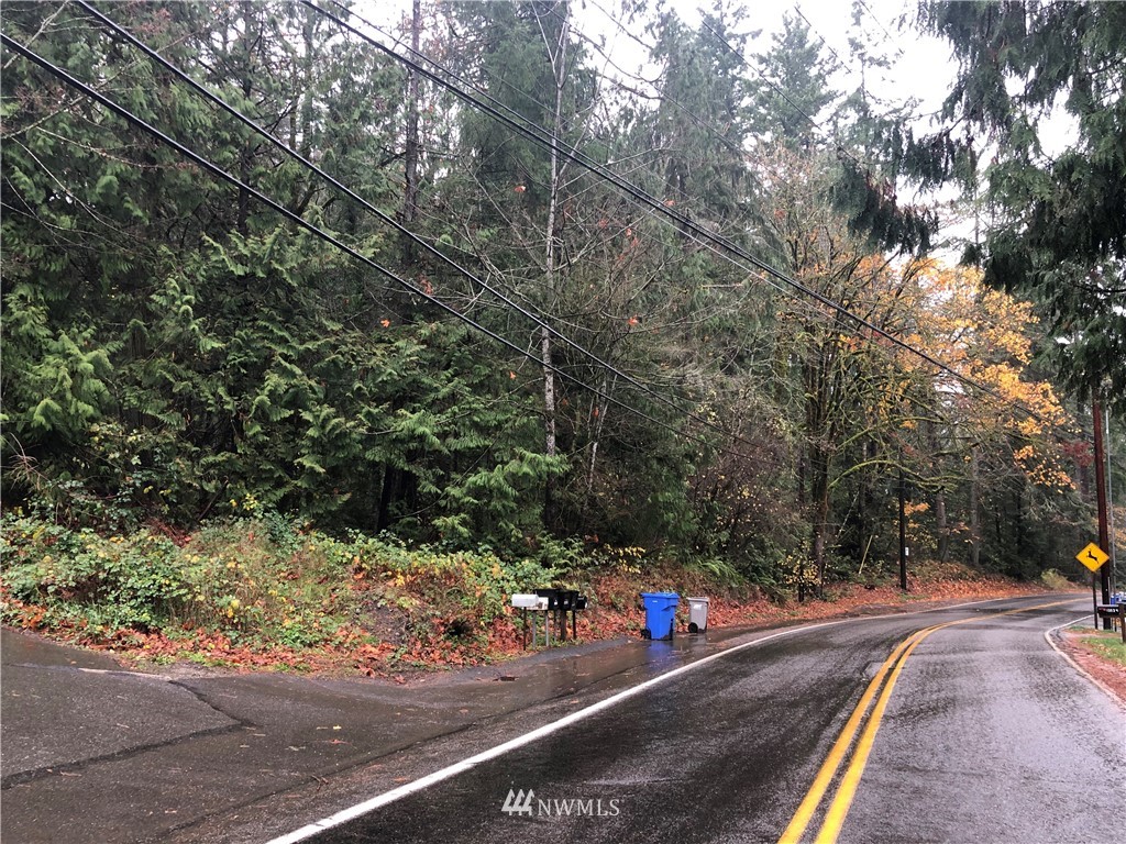 a view of a street with trees