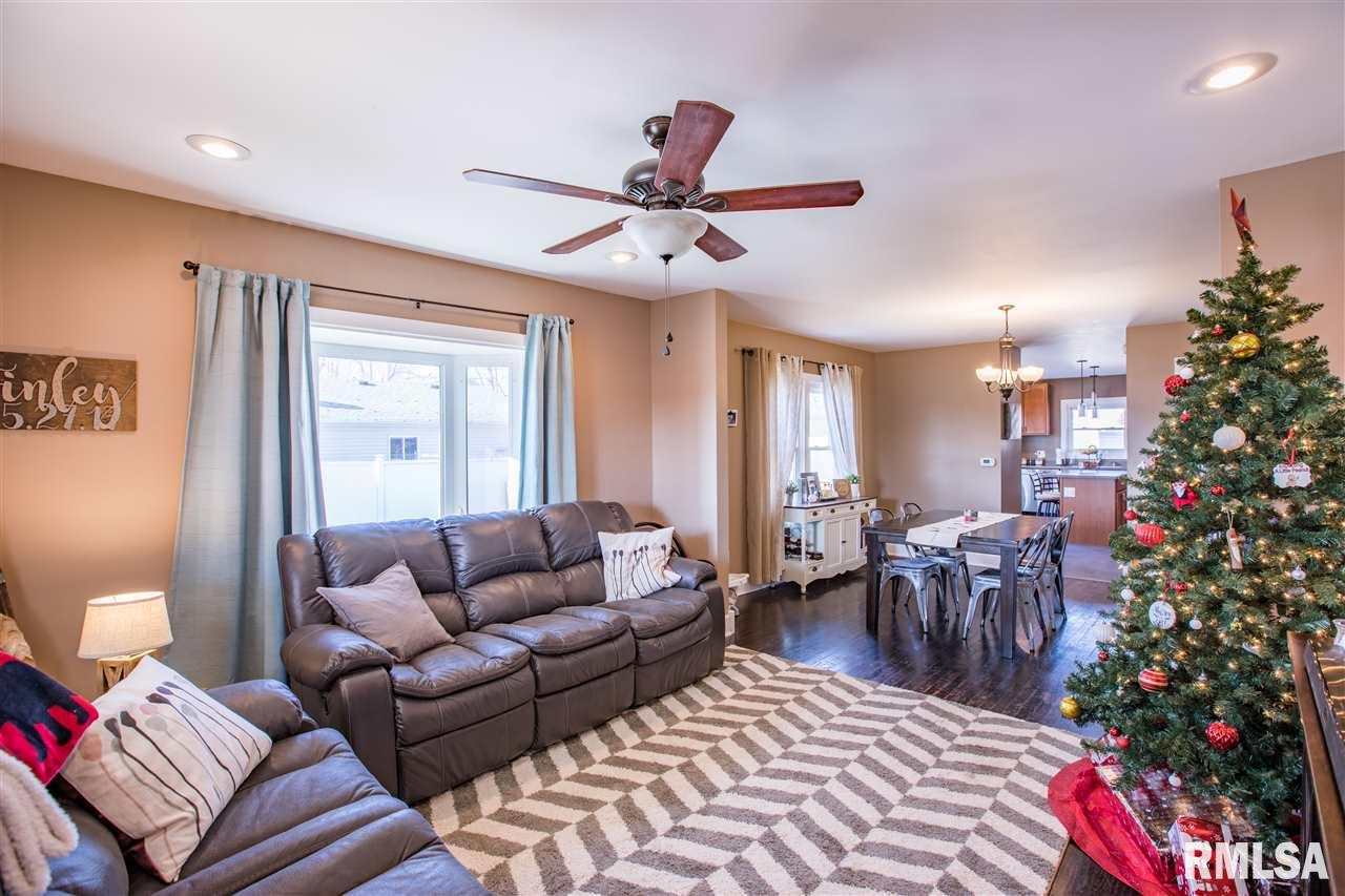 513 Maple Street Colona, IL 61241 - Photo 3 of 18 Gallery Image 3