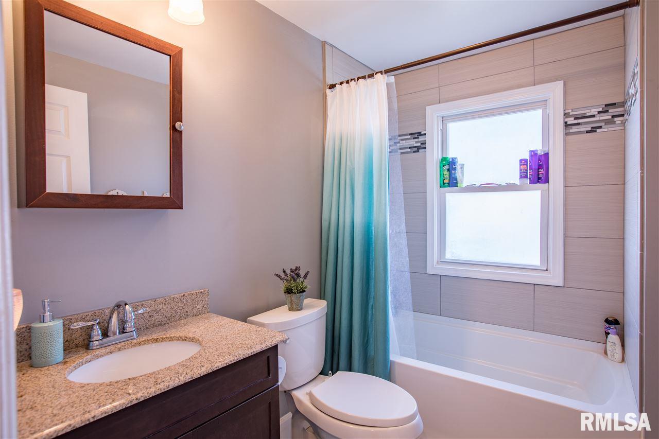 513 Maple Street Colona, IL 61241 - Photo 10 of 18 Gallery Image 10