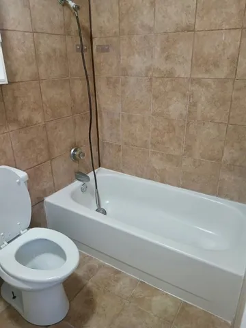 a bathroom with a toilet and a bathtub