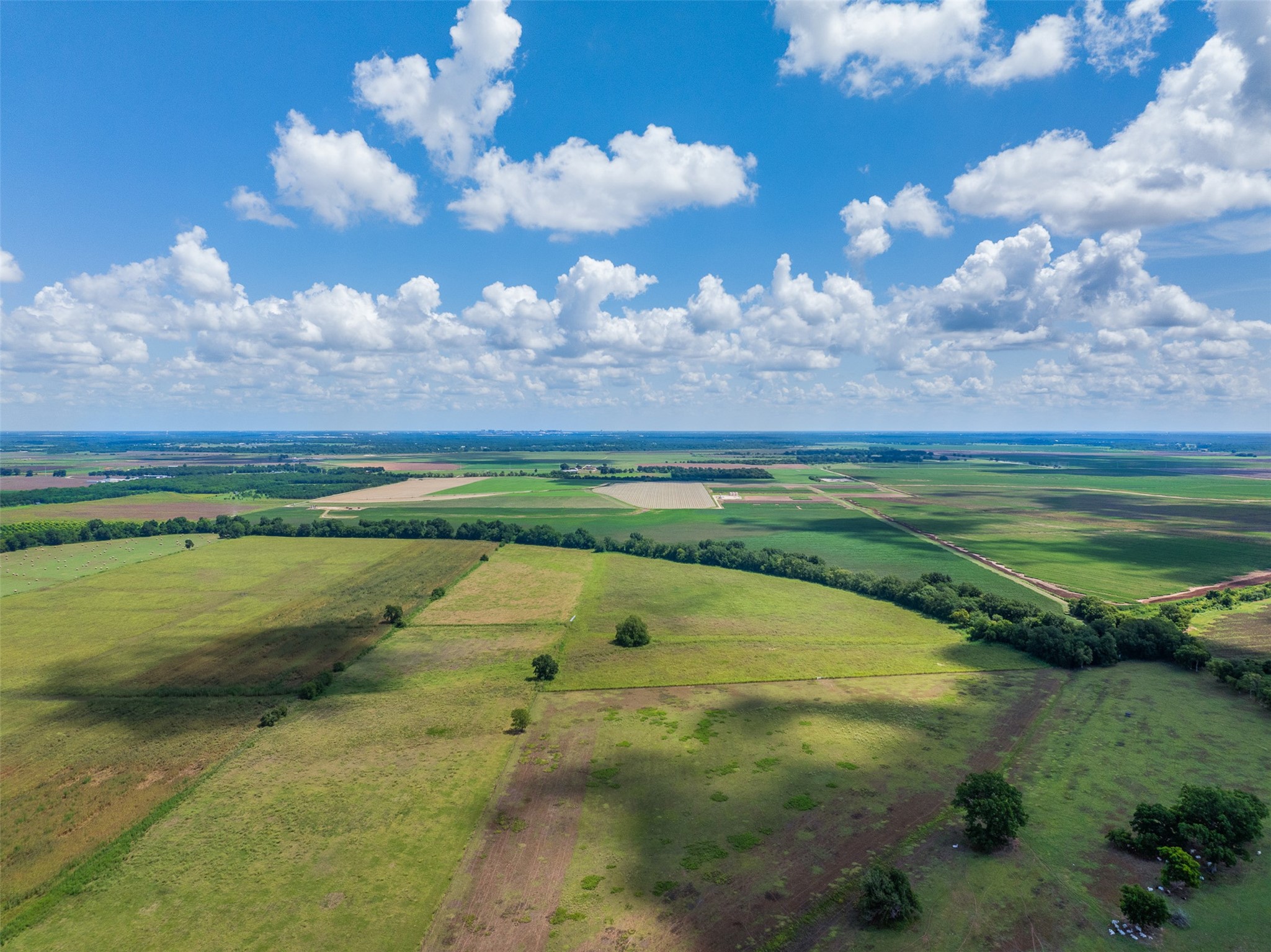 0 Fm 50 Somerville, TX 77879 - Photo 20 of 38 a view of an outdoor space and a yard