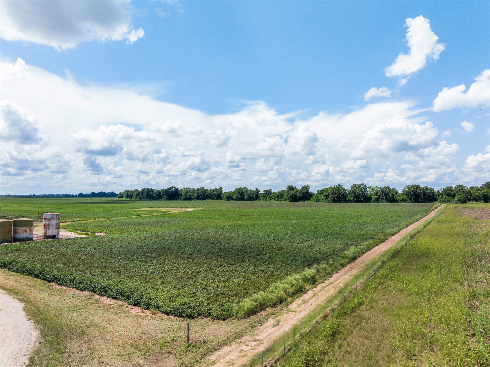 0 Fm 50 Somerville, TX 77879 - Photo 24 of 38 a view of a golf course with a lake