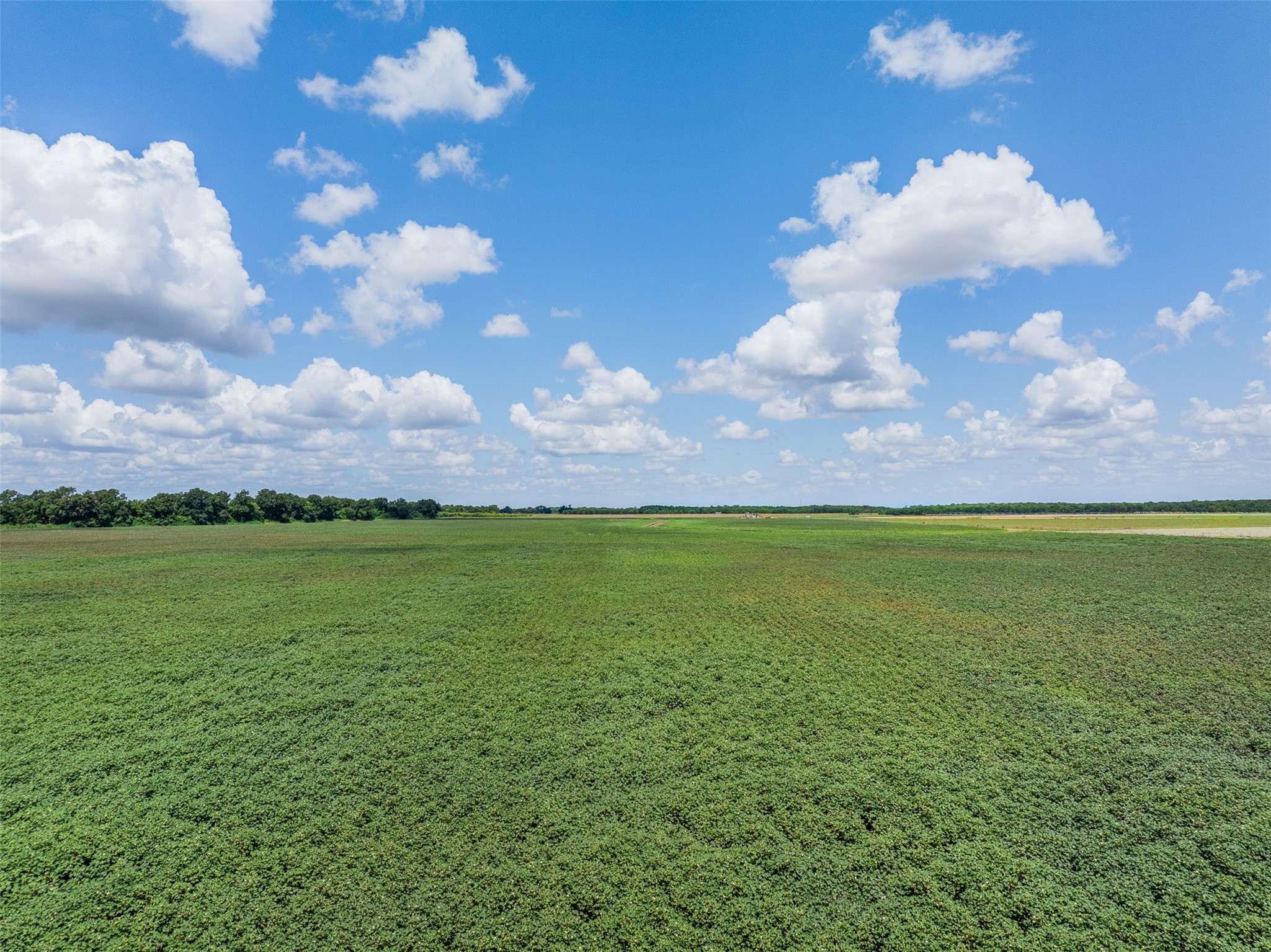 0 Fm 50 Somerville, TX 77879 - Photo 26 of 38 a view of a city