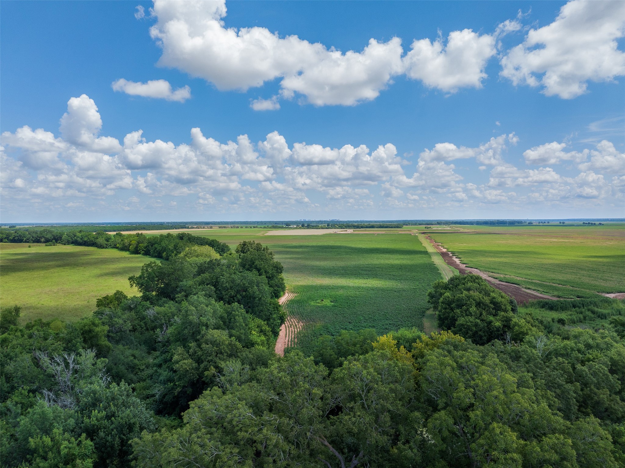 0 Fm 50 Somerville, TX 77879 - Photo 29 of 38