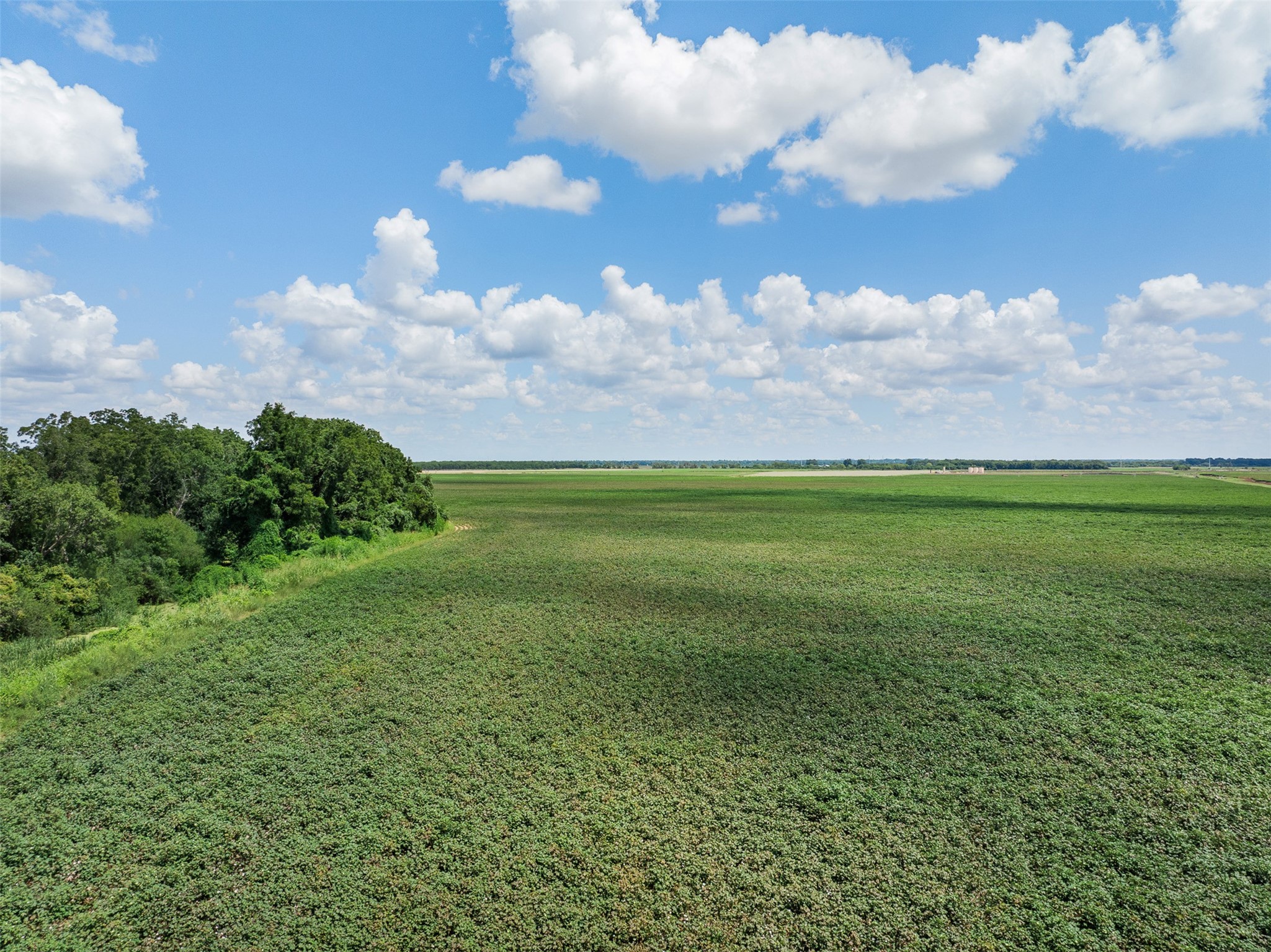 0 Fm 50 Somerville, TX 77879 - Photo 30 of 38 a view of a big yard