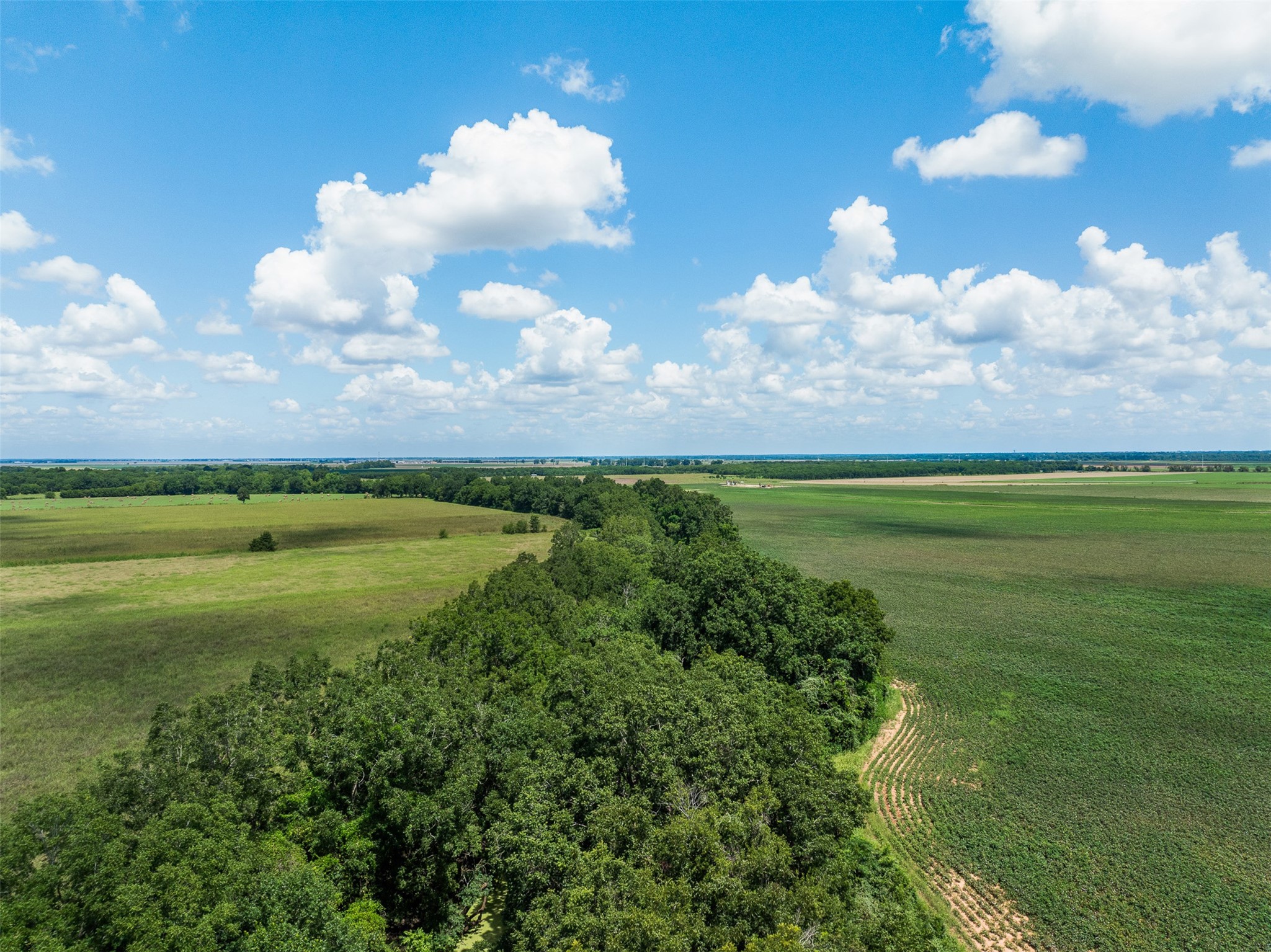 0 Fm 50 Somerville, TX 77879 - Photo 31 of 38 a view of a swimming pool with a yard