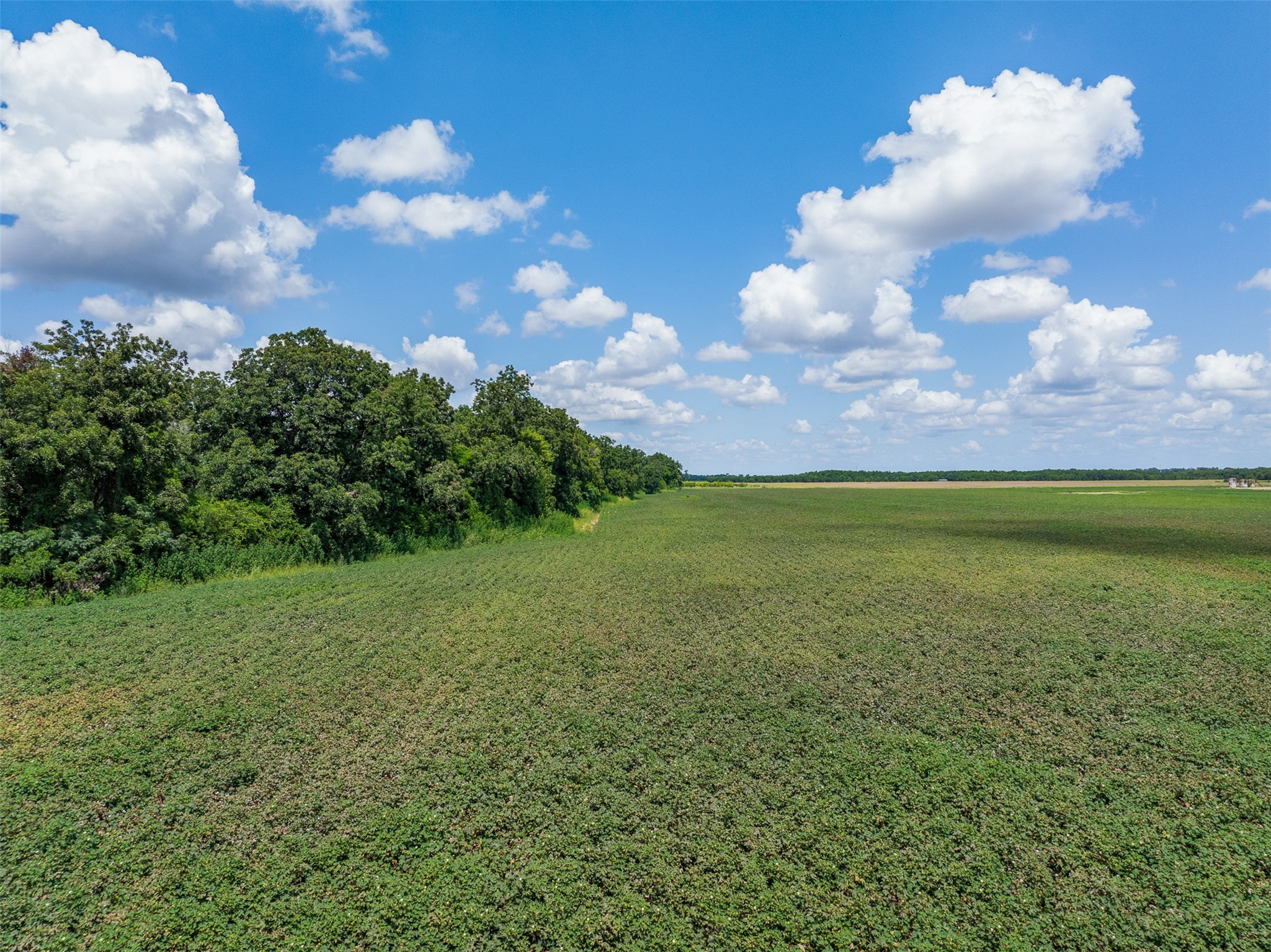 0 Fm 50 Somerville, TX 77879 - Photo 34 of 38 a view of a big yard with a house