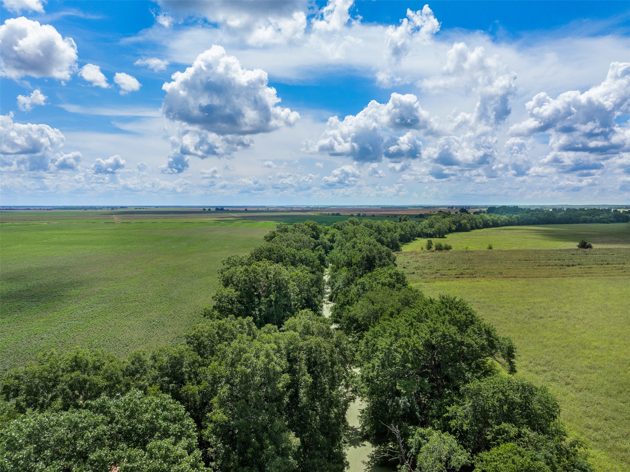 0 Fm 50 Somerville, TX 77879 - Photo 35 of 38 a view of yard with ocean view