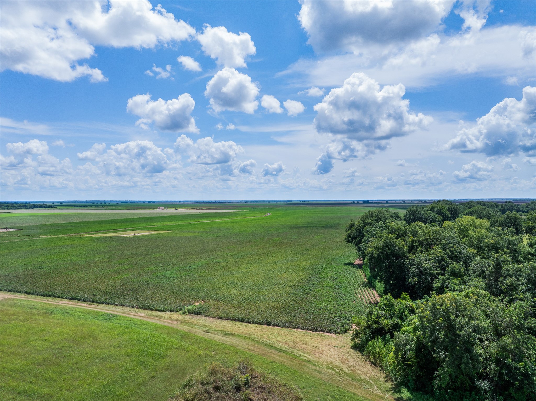 0 Fm 50 Somerville, TX 77879 - Photo 36 of 38